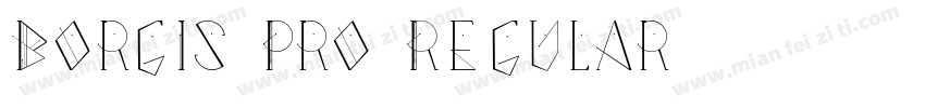 Borgis Pro Regular字体转换